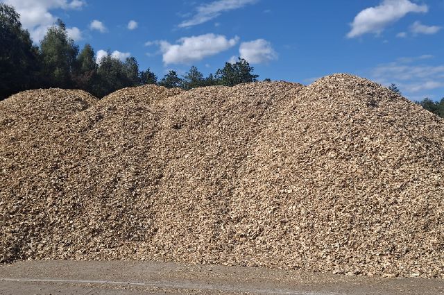 Sprzedaż zrębki certyfikowanej